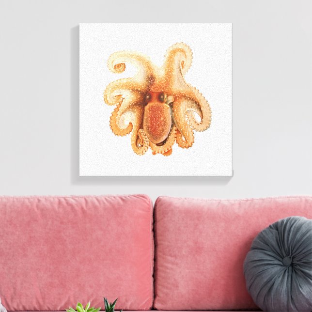 Lienzo Octopus Salutii, Animales Acuáticos Marinos (Insitu (Sala de estar))