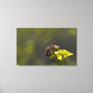 Lienzo Ocupado como abeja