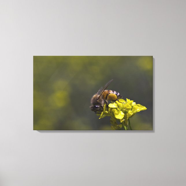 Lienzo Ocupado como abeja (Anverso)