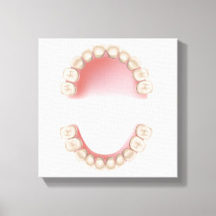 Lienzo Odontología decidua (dientes de bebé)