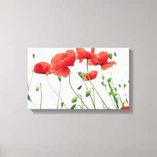 Lienzo Office Home School Personaliza Destiny Destiny