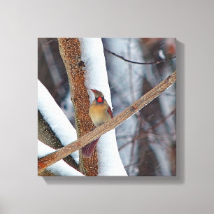 Lienzo ¡Oh genial, y acabo de tener mi pelo hecho!