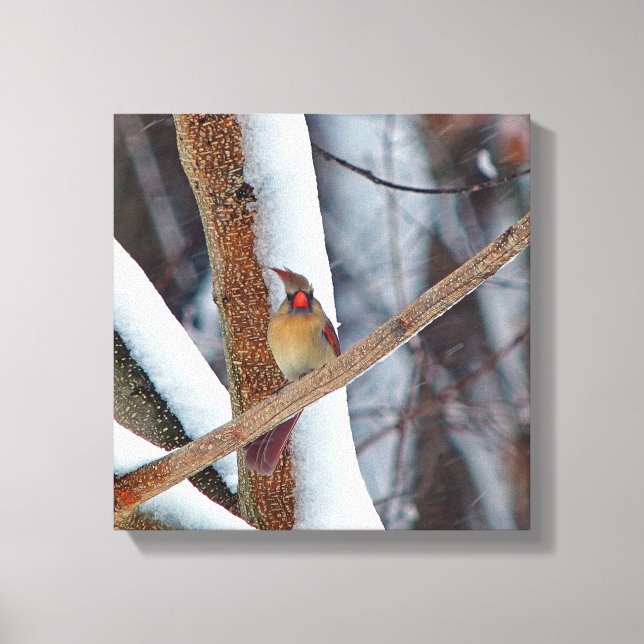 Lienzo ¡Oh genial, y acabo de tener mi pelo hecho! (Anverso)