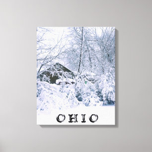 LIENZO OHIO EN INVIERNO 2020