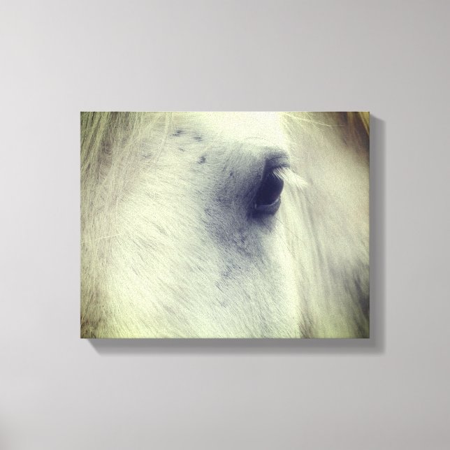 Lienzo Ojo blanco de percheron (Anverso)