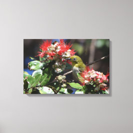 Lienzo Ojo blanco japonés