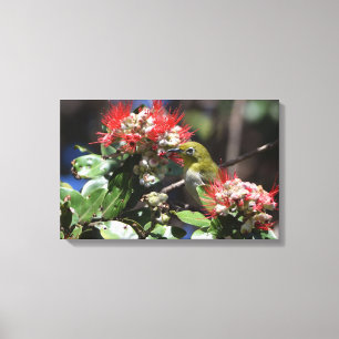 Lienzo Ojo blanco japonés