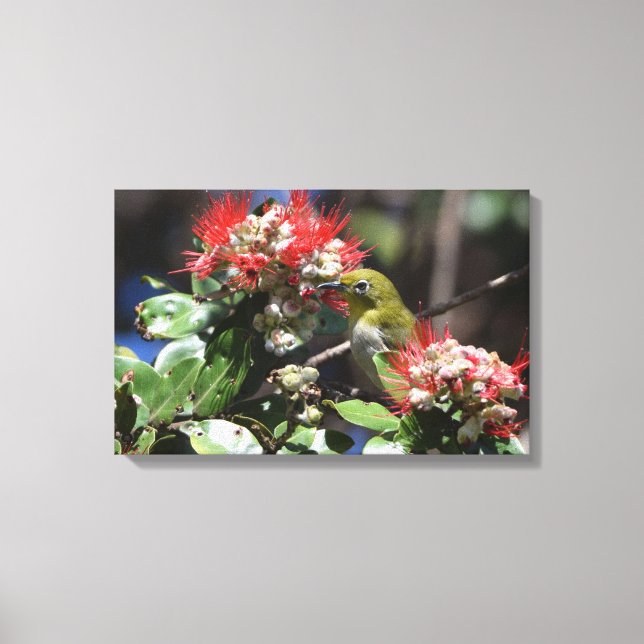 Lienzo Ojo blanco japonés (Anverso)