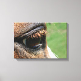 Lienzo Ojo de Caballo