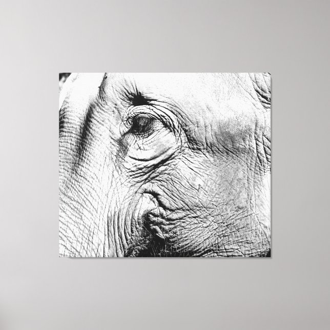 Lienzo Ojo de elefantes, 2017 (Anverso)