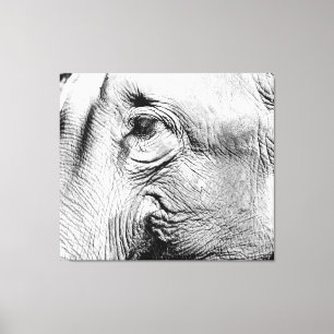 Lienzo Ojo de los elefantes, 2017