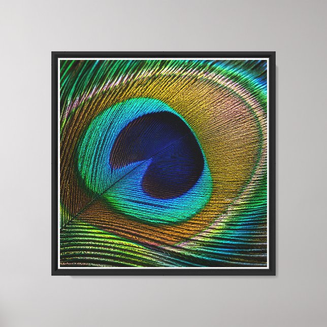 Lienzo Ojo de pluma de pavo real (Anverso)