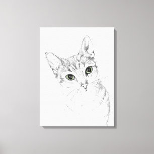 Lienzo Ojos de gato un dibujo de lápiz