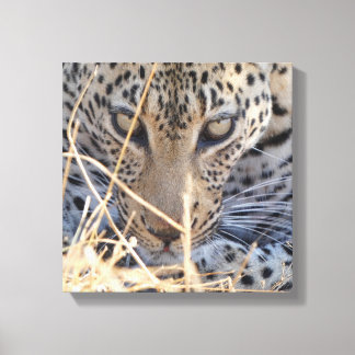 LIENZO OJOS INTENSOS DE LEOPARDO PRIMER PLANO