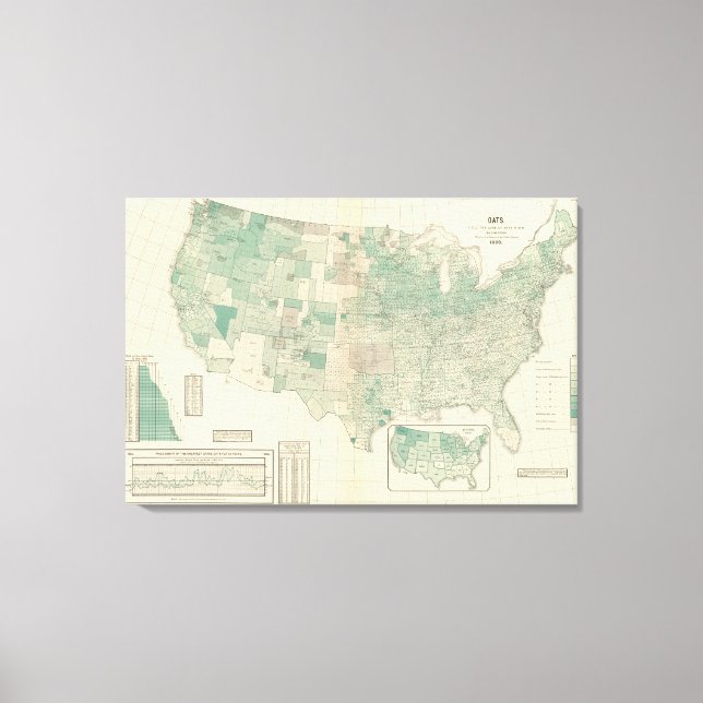 Lienzo Ojos por acre sembrada (Anverso)