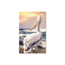 Olas de la playa del Océano Pelican Sunset