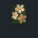 Lienzo Oleander: Toxic Elegance Impressionist Oil Art<br><div class="desc">A masterfully rendered oil painting of the Mediterranean Oleander, capturing the delicate balance of beauty and natural defense. This piece features striking whitish-pink blossoms with subtle, elegant stripes, set against deep, feathery green foliage. Brought to life with thick, expressive impasto textures, the work is bathed in a dramatic, atmospheric light...</div>