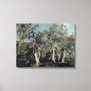 Lienzo Olivas, Corfú, 1912