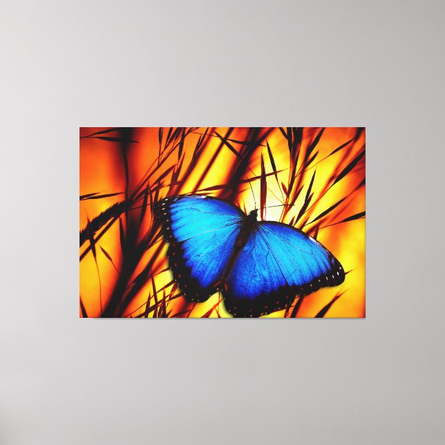 Lienzo Opciones de mariposa Art 39 (Anverso)