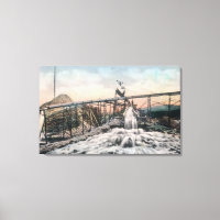 Operación minera de oro de Alaska