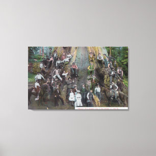 Lienzo Opinión Boole, el árbol más grande del mundo