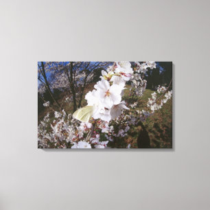 Lienzo Opinión de Fisheye la mariposa en la flor