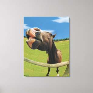 Lienzo opinión del Pescado-ojo el caballo