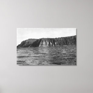 Lienzo Opinión fotografía de Island de rey, Alaska