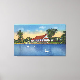 Lienzo Opinión los cisnes del parque de Hoopes en el lag