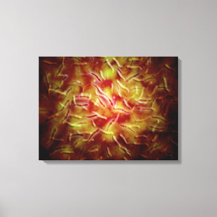 Lienzo Opinión microscópica la esperma