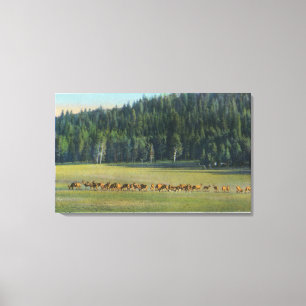 Lienzo Opinión un paquete de ciervos que pastan