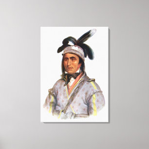 Lienzo Opothle-Yoholo, jefe de la cala