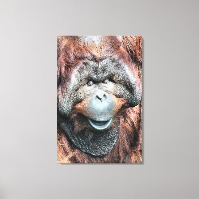 LIENZO ORANGUTAN (Anverso)