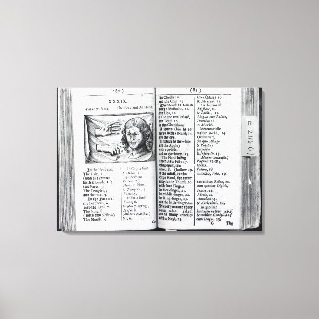 Lienzo 'Orbis Sensualium Pictus' (Anverso)