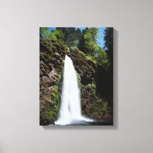 Lienzo Oregón, una cascada en un bosque de crecimiento an