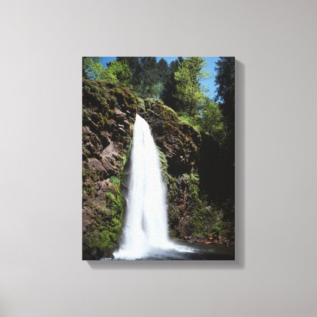 Lienzo Oregón, una cascada en un bosque de crecimiento an (Anverso)