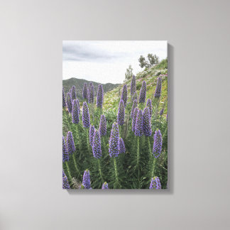 Lienzo Orgullo De Madeira (Ranquitte, Haití)