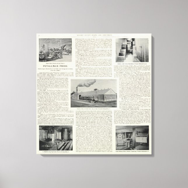 Lienzo Orgullo de Petaluma, California (Anverso)