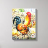Orgulloso Rooster