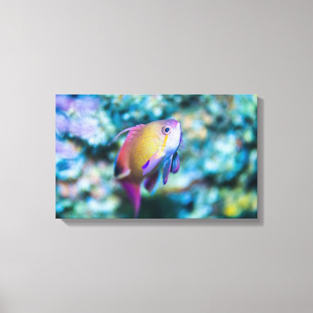 Lienzo Oro marino (Anverso)