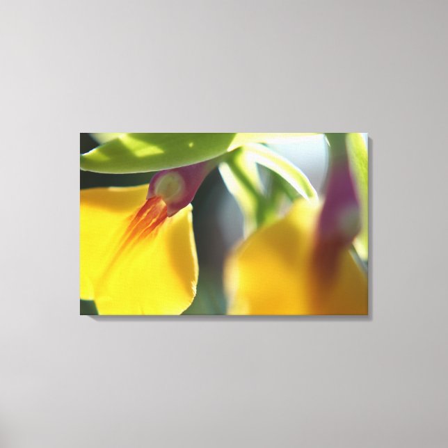 Lienzo Orquídea amarilla (Anverso)