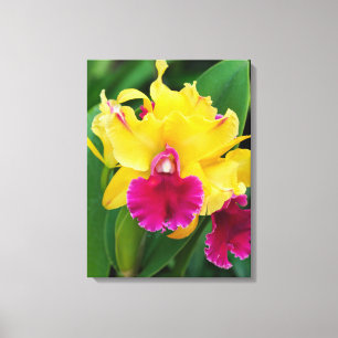 Lienzo Orquídea exótica en colores amarillo y rosa calien