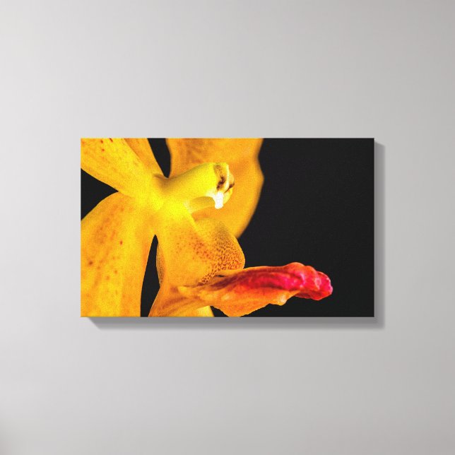 Lienzo Orquídea naranja En Negro 1 (Anverso)