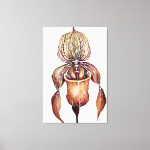 Lienzo Orquídea Paphiopedilum de color vivo