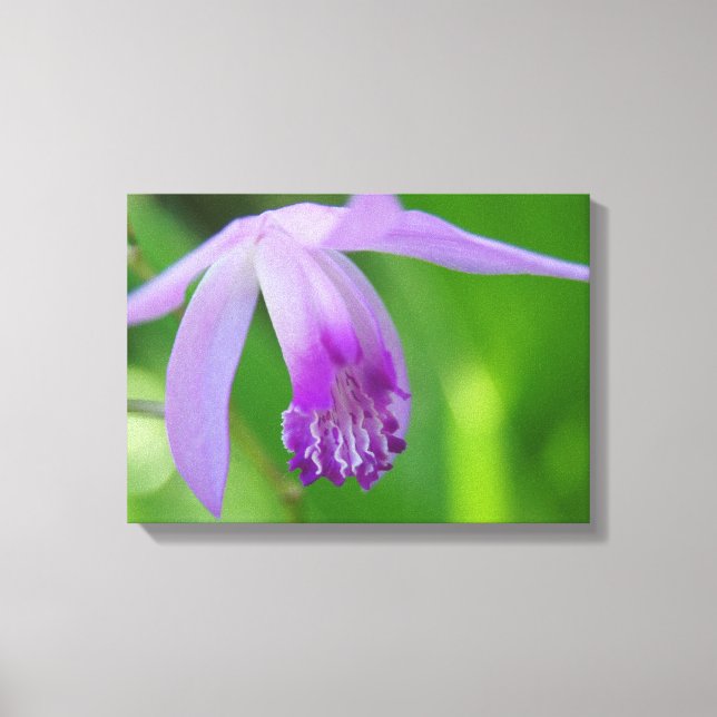 Lienzo ¡Orquídea por ti! (Anverso)