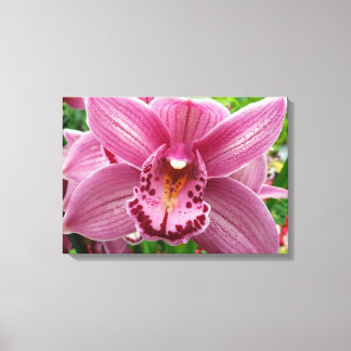 Lienzo Orquídea Púrpura Elegante Floral
