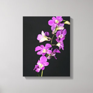 Lienzo Orquídea púrpura en fondo negro