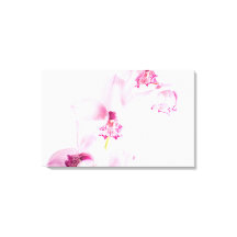 Orquídea rosa