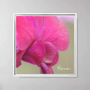 Lienzo Orquídea Rosa Kauai (fotografía tomada por mí)