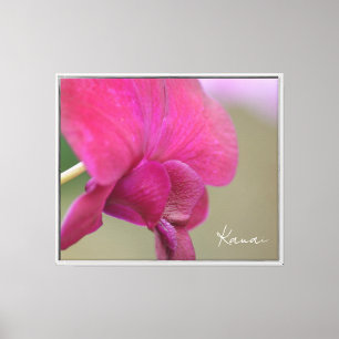 Lienzo Orquídea Rosa Kauai (fotografía tomada por mí)